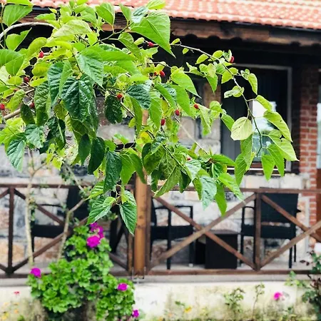 Salkim Sahil Evi Selimiye * Selimiye (Aegean)